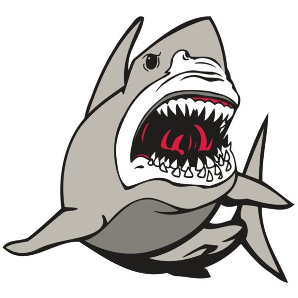 AR5 Shark 07 RQC Thumbnail