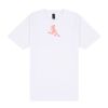 Gildan Mid-Weight Soft Style T-Shirt Thumbnail