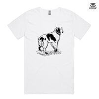 ASColour Scoop Neck 'Shadow' T Shirt Thumbnail