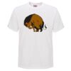 Mens Quality Surf TShirt by Sportage Thumbnail