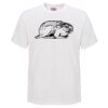 Mens Quality Surf TShirt by Sportage Thumbnail