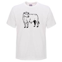 Mens Quality Surf TShirt by Sportage Thumbnail