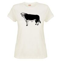 Sportage Ladies Surf Style T Shirt Thumbnail