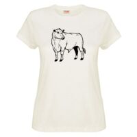 Sportage Ladies Surf Style T Shirt Thumbnail