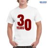 Gildan Adult Ultra Cotton T-Shirt Thumbnail